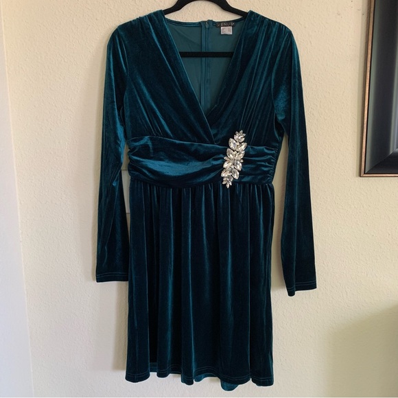 NWOT Embellished Velvet Dress - Picture 5 of 16